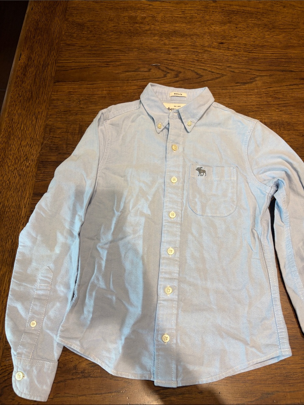 Abercrombie & Fitch Light Blue Button-Down Shirt with Pocket Logo Boys Size S